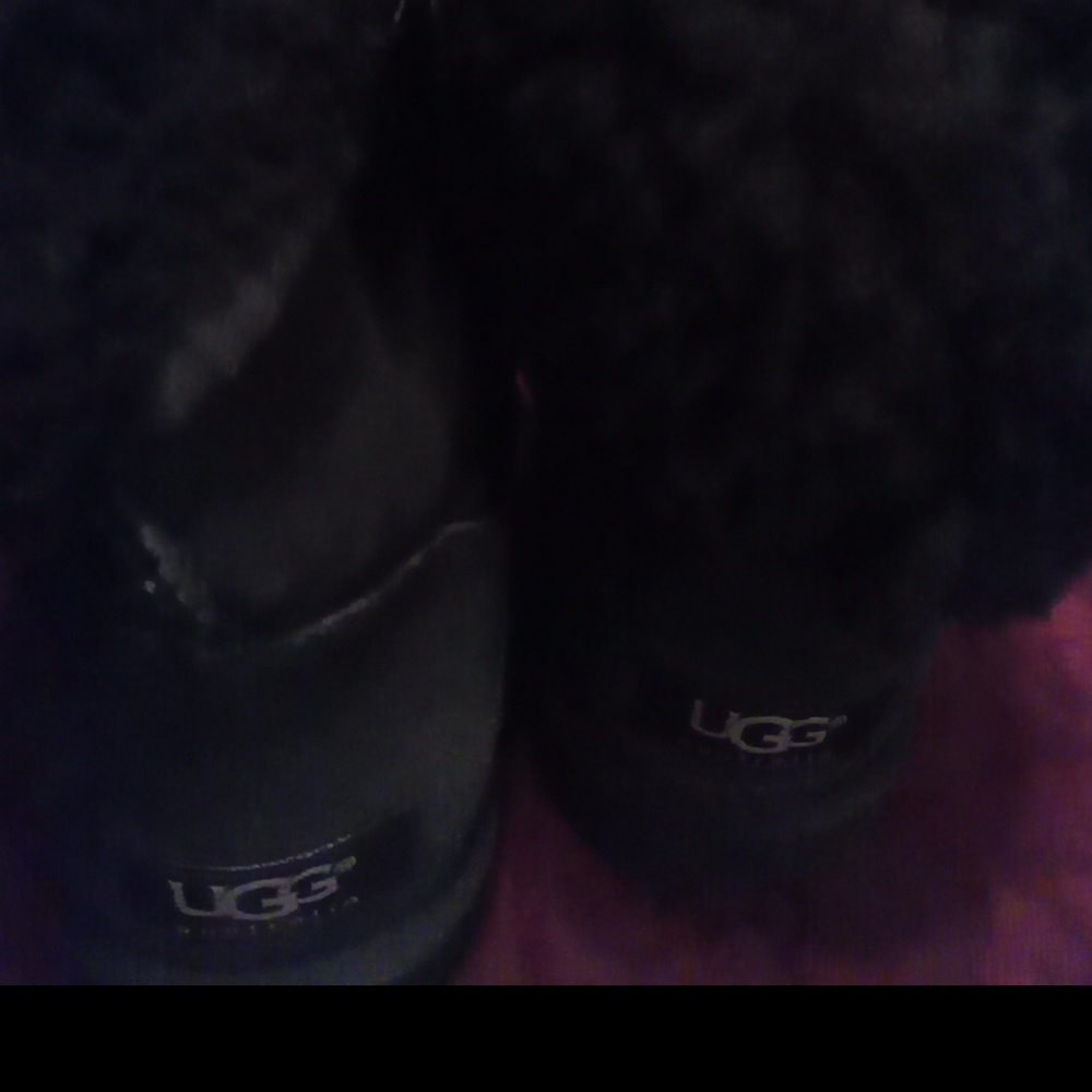 Boots Authentic UGGs